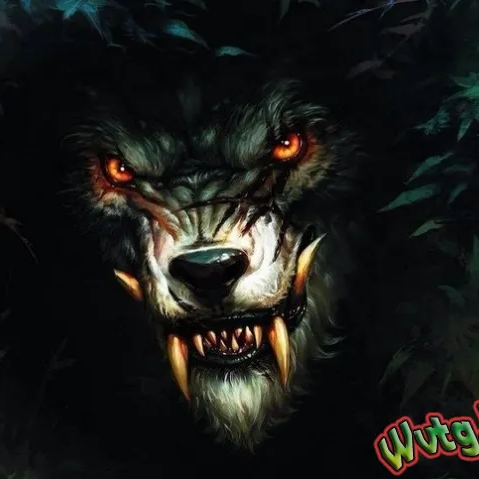 СКАЧИВАНИЕ С ТИКТОК