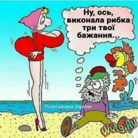 Юмор и развлечения