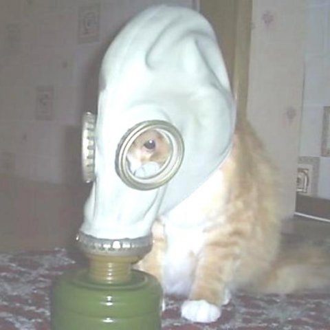 Новости каталога по безопасности жизнедеятельности