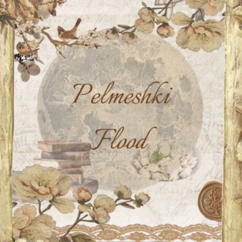 Пельмешки флуд