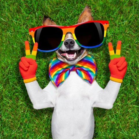 Чат позитивных людей😁