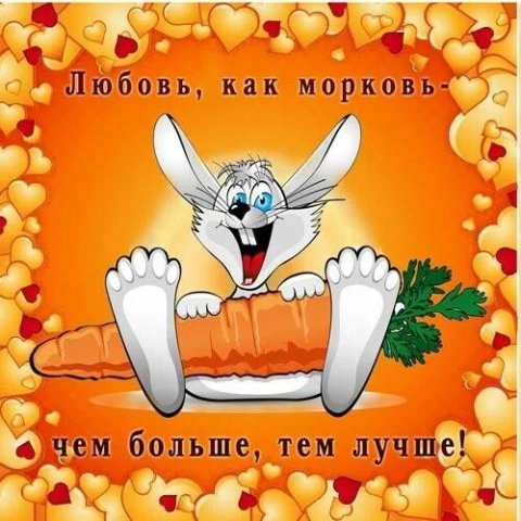 ❤️🥕⃟‌⃟ ࿐Люδ᧐ʙь ʍ᧐ρκ᧐ʙь🥕⃟‌⃟ ࿐❤️