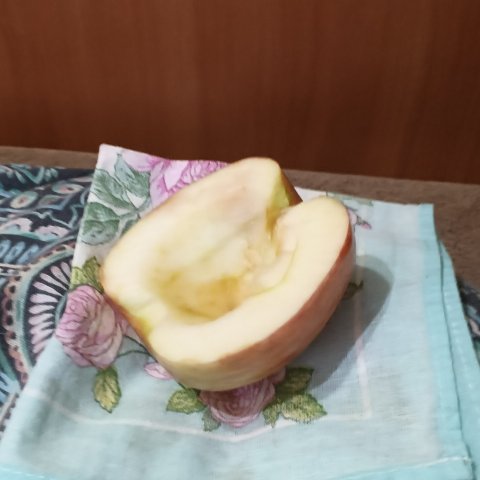Группа романа