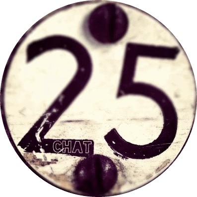 ЧАТ 25+