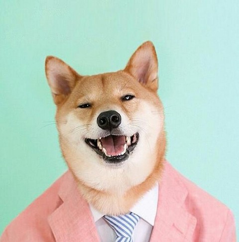 Четкие Приколы