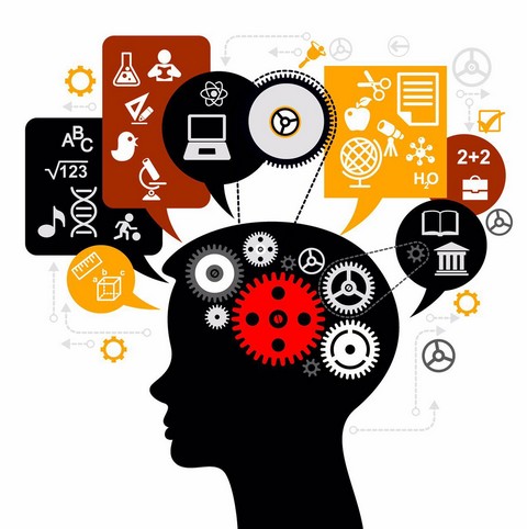 The brain | блог о развитии