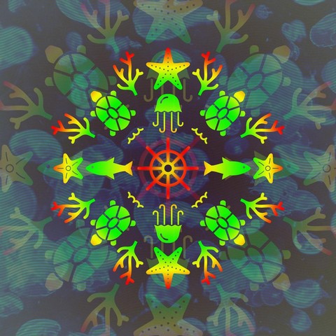 Дзен тихоходки