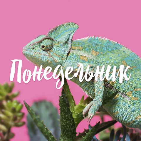 Понедельник