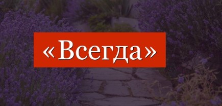 Худеем вместе.
