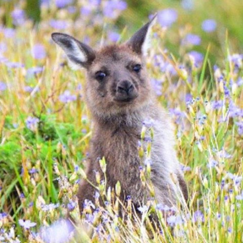 О чем думают мужчины