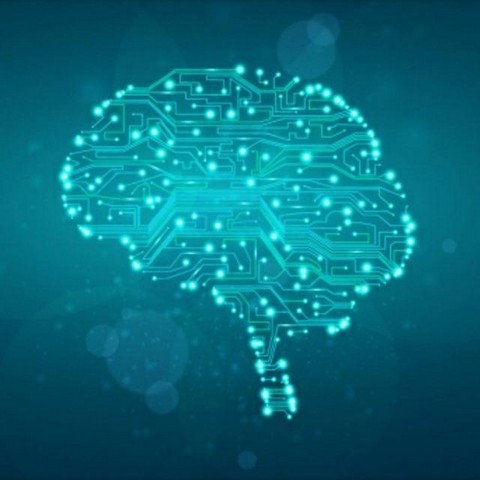 Айтишники заценят