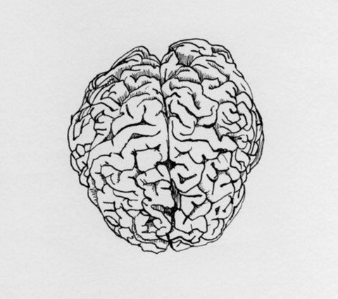 Антидеградация