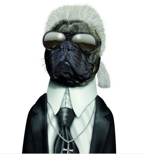 Fashion is my profession