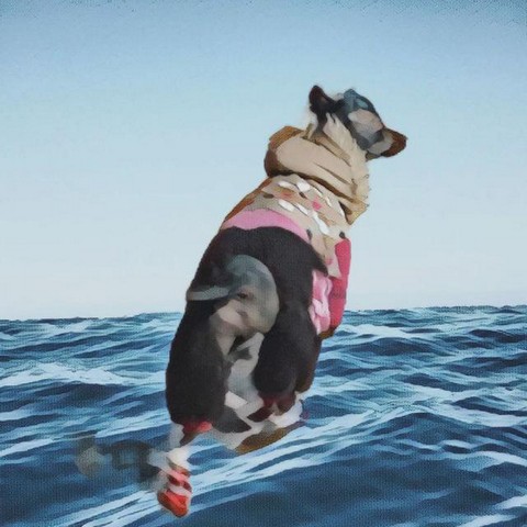 Музыка моего дня