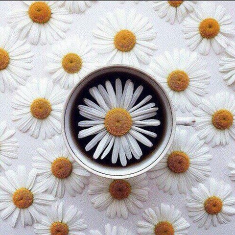 Поэтическая беседка