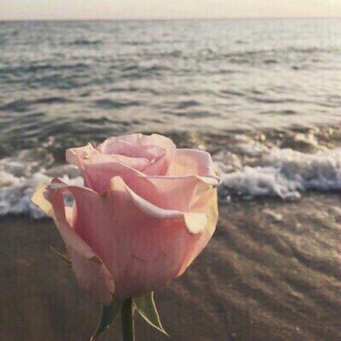 Я люблю себя такой 