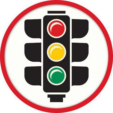 ПДД в опросах