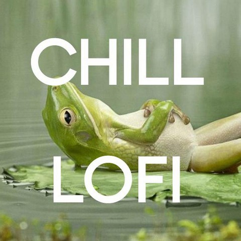 Chill Lo Fi Hip Hop Music