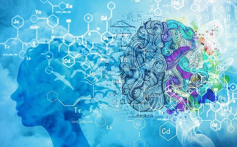 Подзаборная Наука