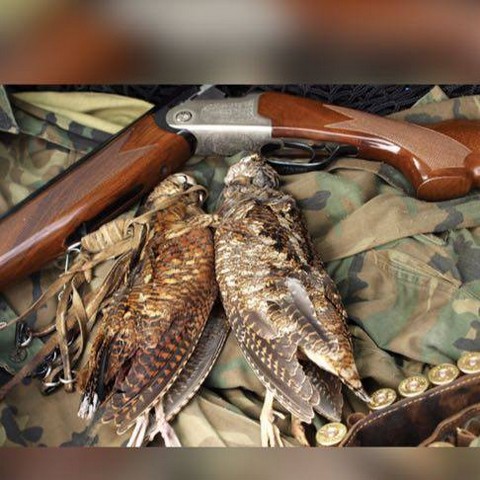 Охота Сахалин