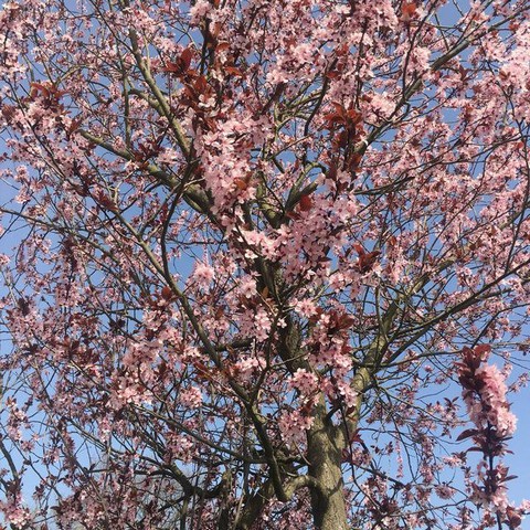 Я-странная.