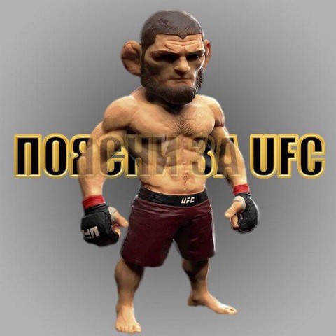 BEST of UFC