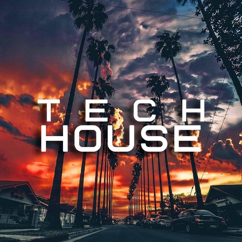 TechHouse music