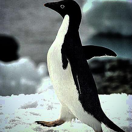 Социофобство