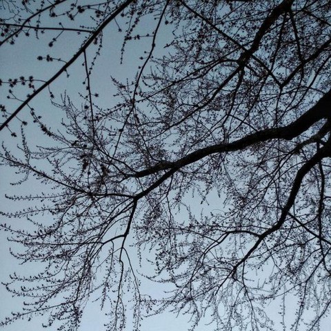 Дом для души 