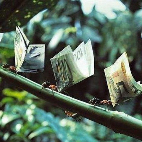 Практики успеха