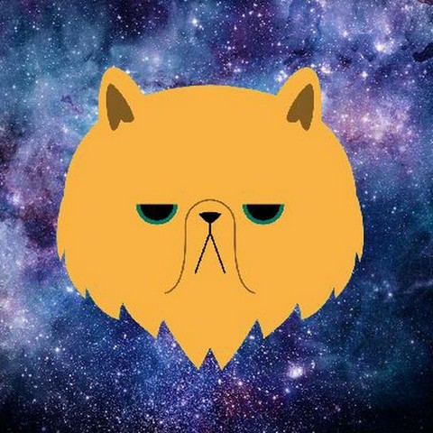 Диджитал Маркет