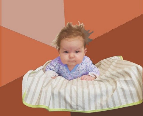 Папа мыла попу