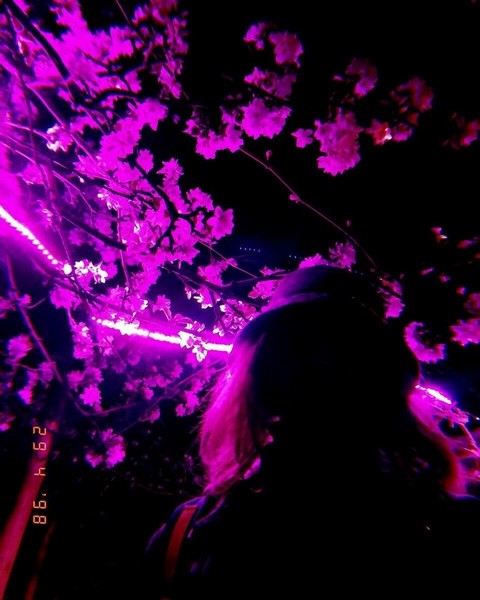 King News -  Новости, юмор