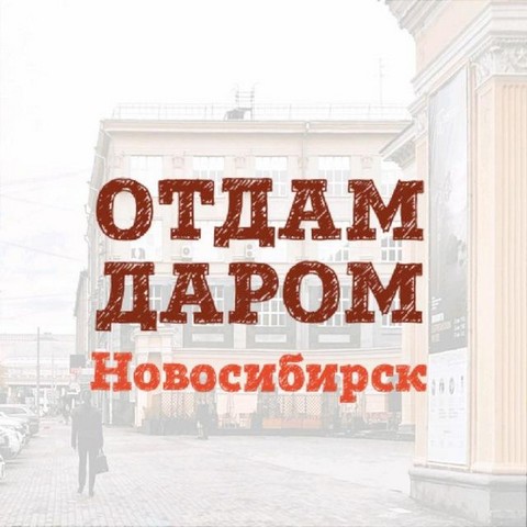 Отдам даром Новосибирск