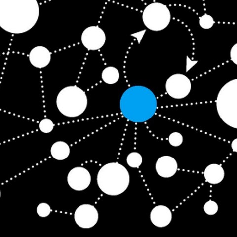 Блокчейн в дикой природе