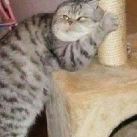 Рандомные заметки