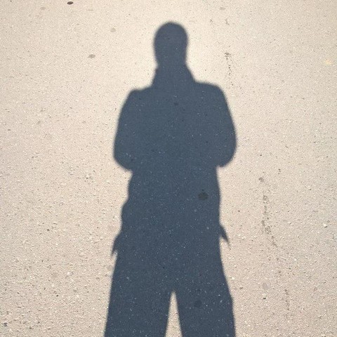 В поисках партнерши