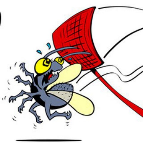 Мухи с котлетами.