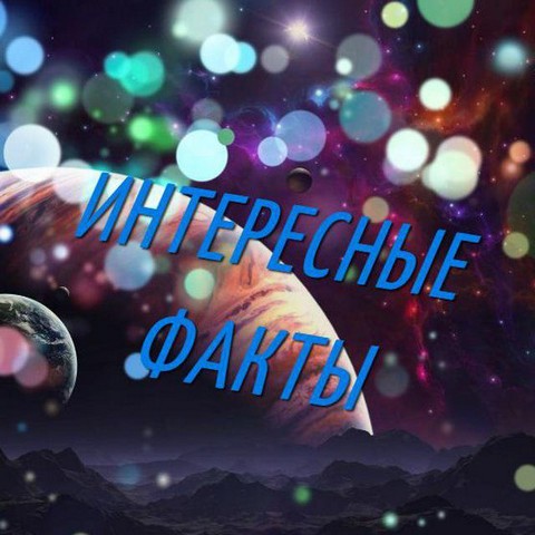 Интересные Факты