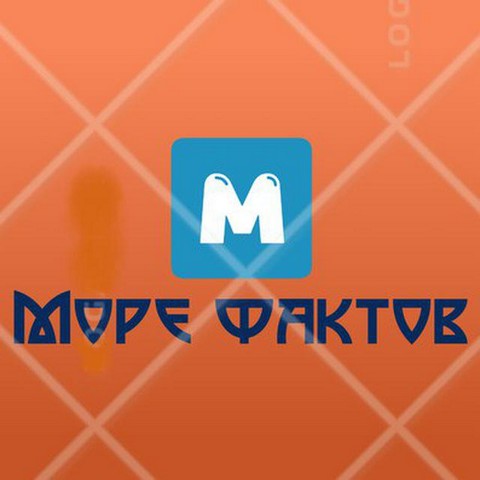 Море фактов