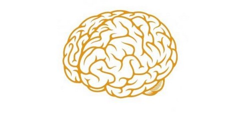 Самые интересные статьи