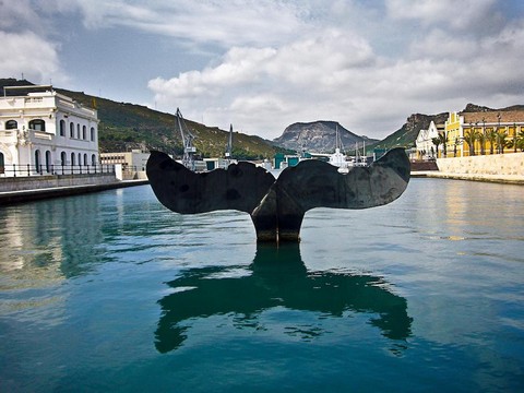 Погоня за счастьем