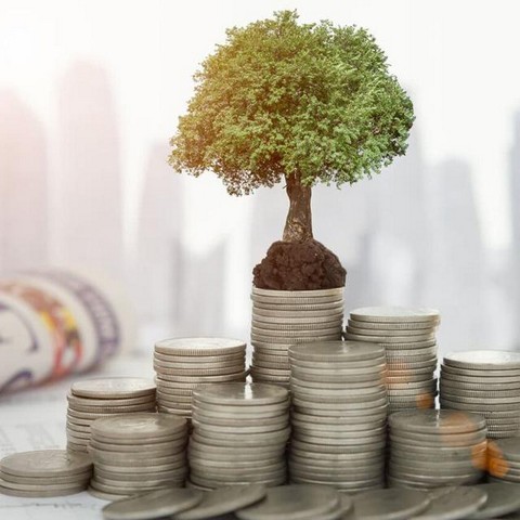 Инвестиции