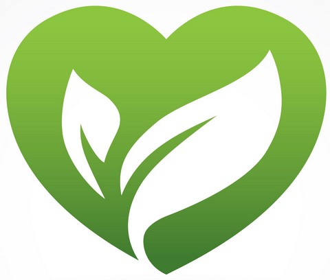 EcoFit - умный фитнес