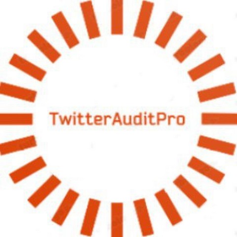 Twitter Audit