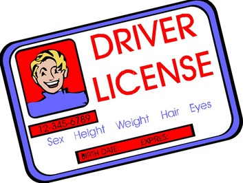 Права и безопасность. Дороги Украины и Европы