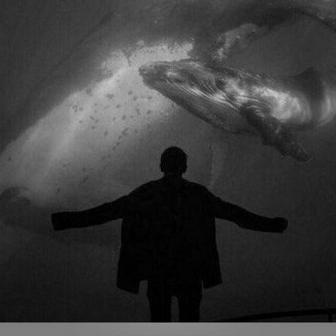 don't GET STOPPED LIFE