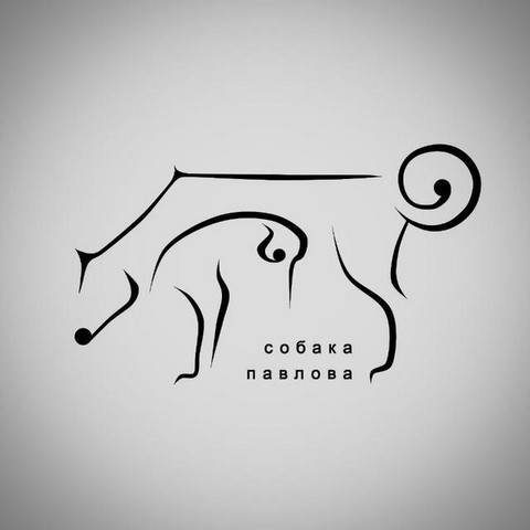 Собака павлова