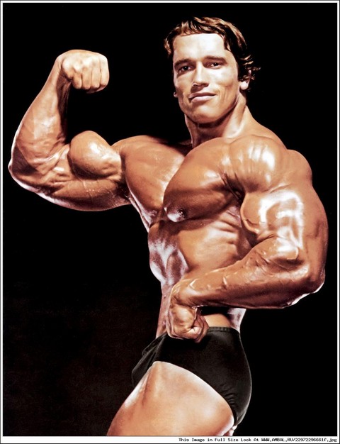 Бодибилдинг, фитнес