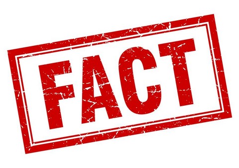 Интересные Факты